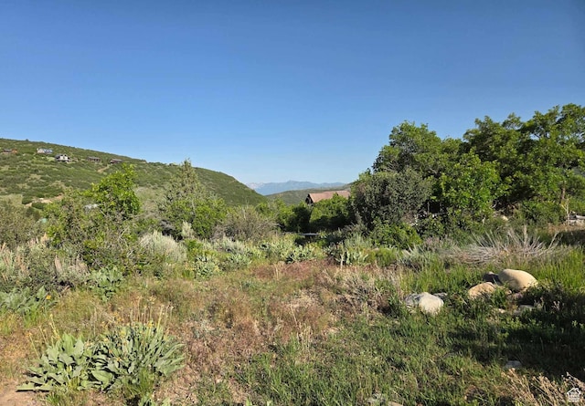 8375 E Lake Pines Dr Unit 212, Heber City, UT 84032 - mountain view