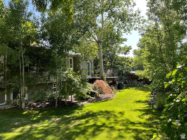 3411 E Enchanted View Dr S, Cottonwood Heights, UT 84121 - view of grassy yard