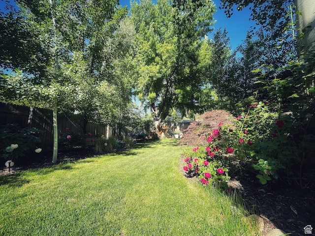 3411 E Enchanted View Dr S, Cottonwood Heights, UT 84121 - view of yard