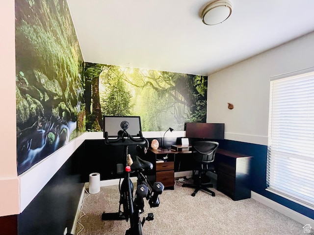 3411 E Enchanted View Dr S, Cottonwood Heights, UT 84121 - home office with carpet floors and baseboards