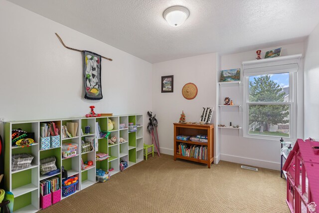 10787 S Pine Shadow Rd, South Jordan, UT 84009 - playroom featuring a textured ceiling and carpet floors