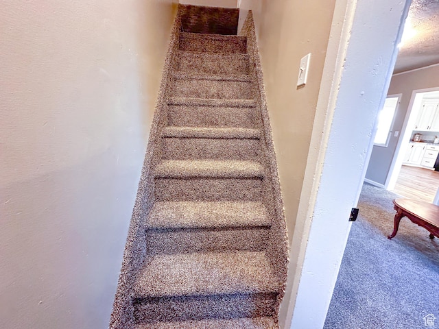 297 S 200 W, Richmond, UT 84333 - stairway featuring carpet flooring