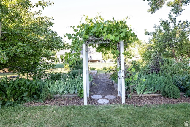 297 S 200 W, Richmond, UT 84333 - view of grassy yard