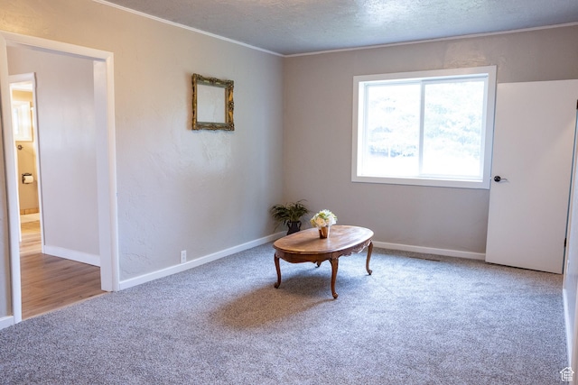 297 S 200 W, Richmond, UT 84333 - sitting room featuring carpet flooring, crown molding, and a textured ceiling