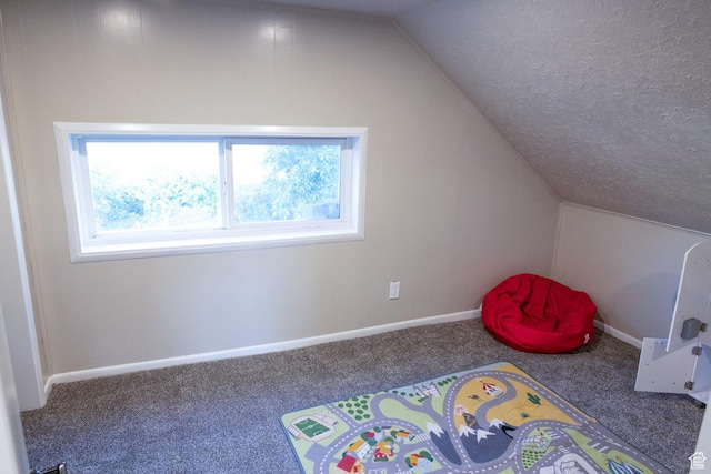297 S 200 W, Richmond, UT 84333 - playroom featuring carpet, vaulted ceiling, plenty of natural light, and a textured ceiling