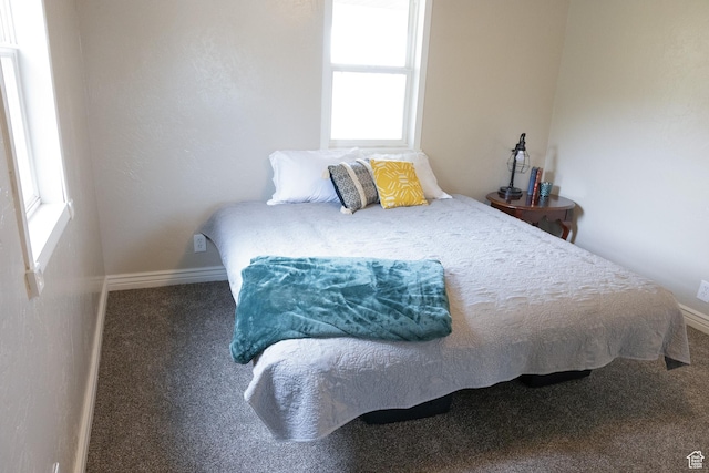 297 S 200 W, Richmond, UT 84333 - carpeted bedroom with multiple windows