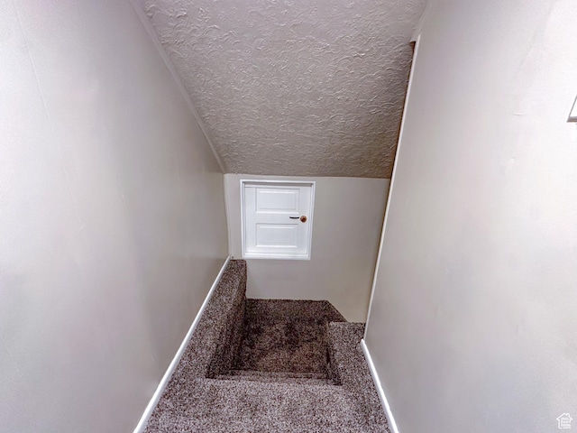 297 S 200 W, Richmond, UT 84333 - stairs with a textured ceiling and carpet