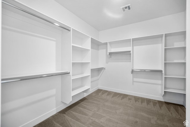 2154 S Bluff Dr, Cedar City, UT 84720 - spacious closet featuring dark carpet