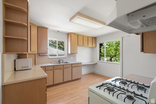 2359 E Bryan Ave S, Salt Lake City, UT 84108 - kitchen with white appliances, exhaust hood, plenty of natural light, and light brown cabinetry