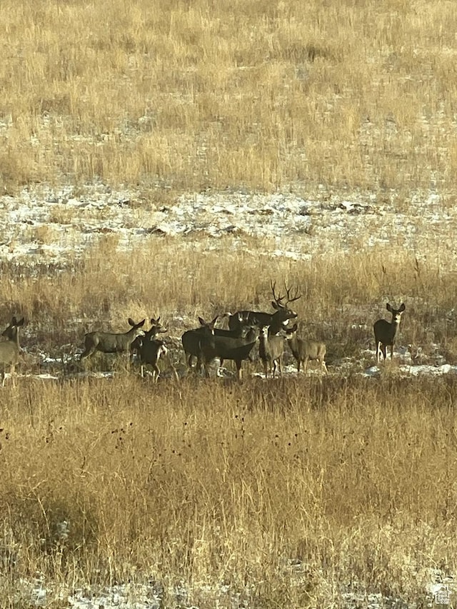 Preston, ID 83263