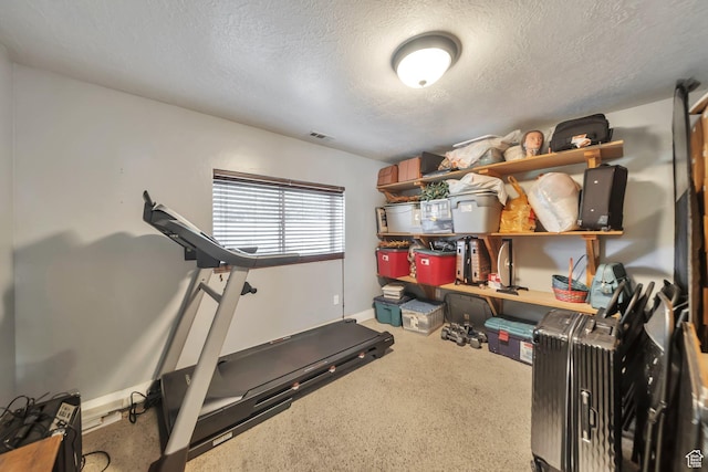 1295 S 4050 W, Syracuse, UT 84075 - exercise room featuring a textured ceiling and carpet floors