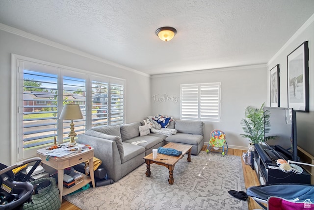 733 W 3500 S, Bountiful, UT 84010 - living room featuring wood finished floors, crown molding, and a textured ceiling