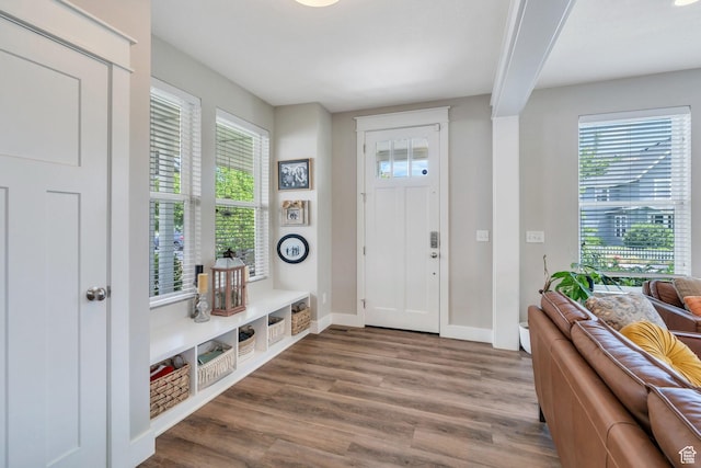 10616 S Wistful Way S, Jordan, UT 84009 - entryway with baseboards and wood finished floors