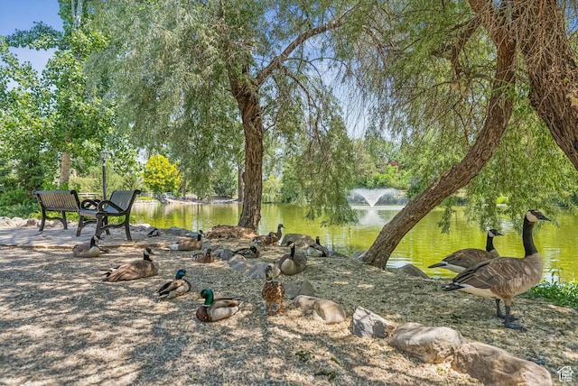 4178 S 650 E, Murray, UT 84107 - view of yard featuring a water view and view of scattered trees