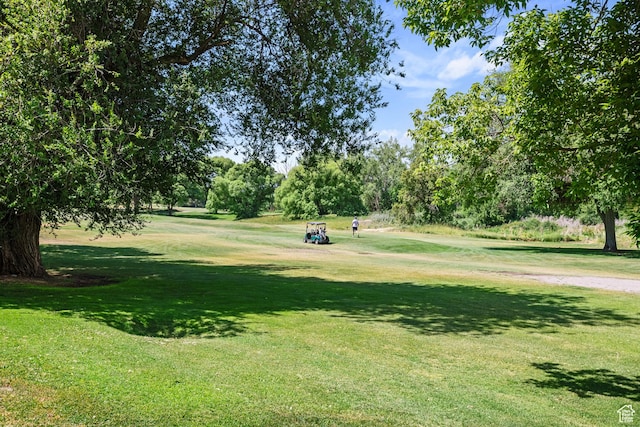 2402 S Elizabeth St Unit 5, Salt Lake City, UT 84106 - view of property's community with a lawn and view of wooded area