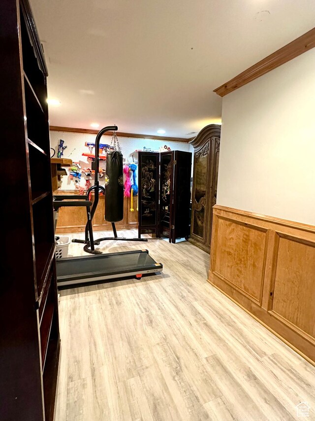 840 S Williams Cv W, Salem, UT 84653 - exercise area featuring ornamental molding, light wood-type flooring, and wainscoting