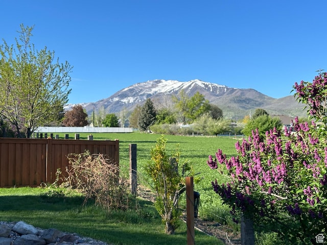 840 S Williams Cv W, Salem, UT 84653 - view of mountain background