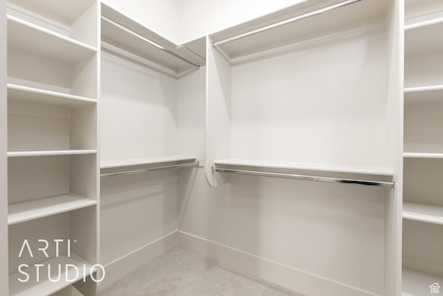 2818 E Rill Dr, Washington, UT 84780 - spacious closet with carpet flooring