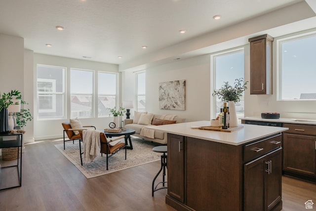 247 E 1850 N Unit 1, North Ogden, UT 84414 - kitchen featuring plenty of natural light, light countertops, dark wood finished floors, and recessed lighting
