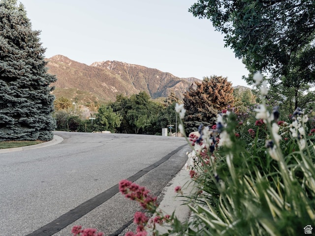9788 S Dante Rd E, Sandy, UT 84092 - view of asphalt street with a mountain view