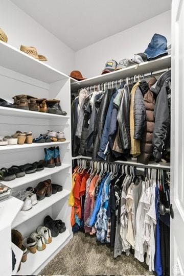 2253 N 1200 E, Monroe, UT 84754 - spacious closet featuring carpet floors