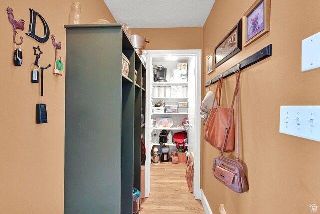 1269 Alice Ln, Farmington, UT 84025 - hall featuring light wood-type flooring