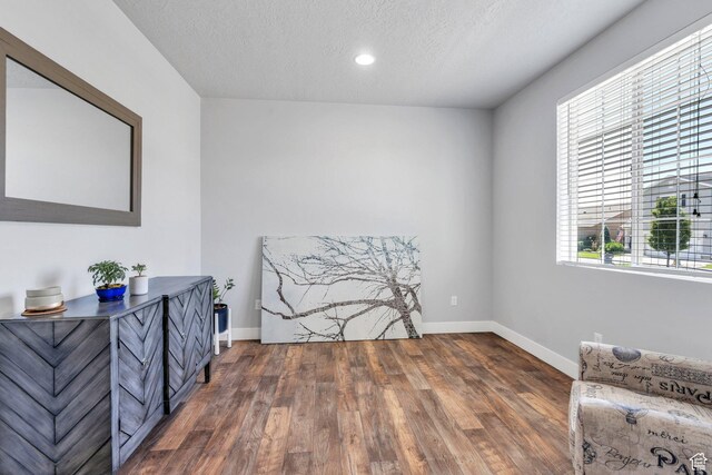 123 E 460 N, Vineyard, UT 84059 - sitting room featuring wood finished floors, plenty of natural light, a textured ceiling, and recessed lighting