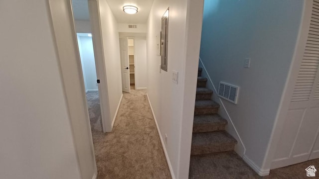 6116 W Graceland Way, West Jordan, UT 84081 - hallway with carpet and stairway
