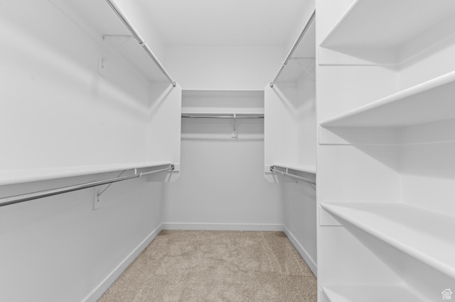 1881 E Moho Mtn, Eagle Mountain, UT 84005 - walk in closet featuring light carpet