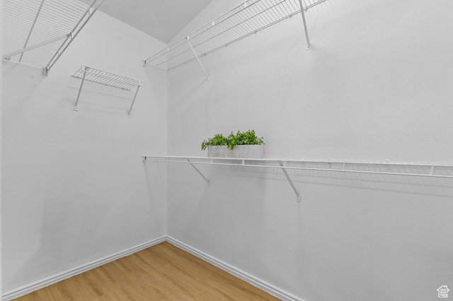 9152 S Crystal Vista Ln, West Jordan, UT 84088 - walk in closet with light wood-style flooring