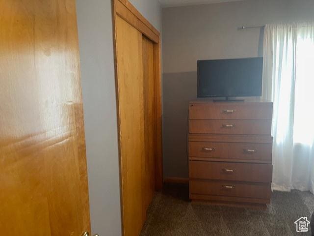 535 W 500 N, Malad City, ID 83252 - bedroom featuring a closet and dark carpet