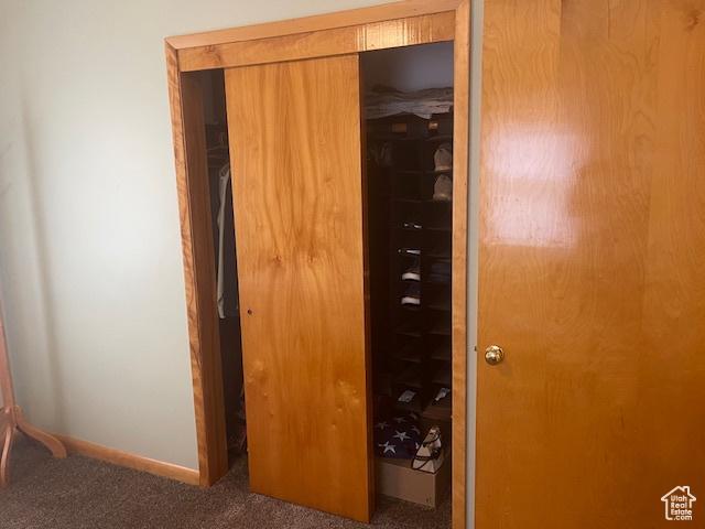 535 W 500 N, Malad City, ID 83252 - hallway with carpet flooring and baseboards