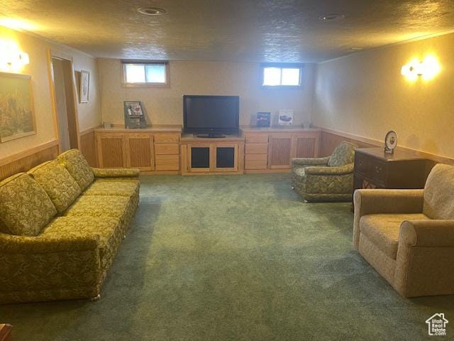 535 W 500 N, Malad City, ID 83252 - living area with carpet floors and a textured ceiling