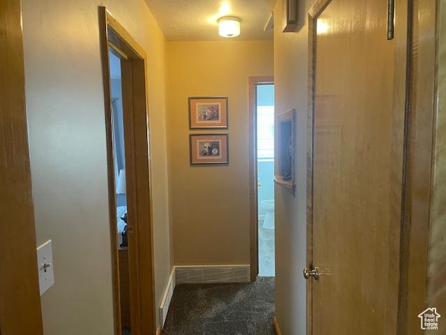 535 W 500 N, Malad City, ID 83252 - corridor featuring carpet and baseboards
