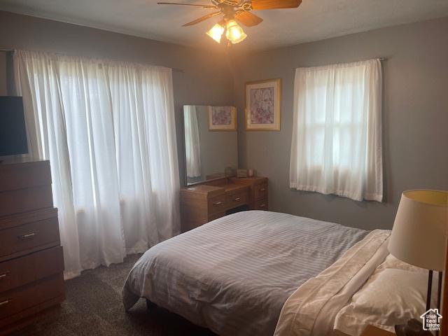 535 W 500 N, Malad City, ID 83252 - carpeted bedroom featuring a ceiling fan