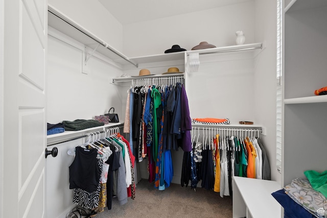 11079 S Lake Run Rd, South Jordan, UT 84009 - spacious closet featuring carpet