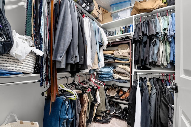 106 E Polaris Dr, Saratoga Springs, UT 84045 - view of walk in closet