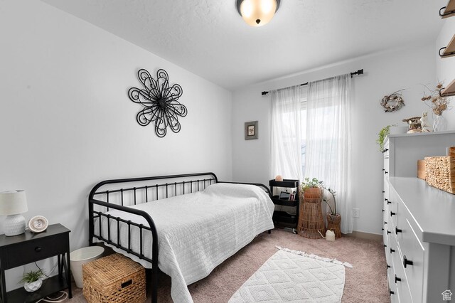 106 E Polaris Dr, Saratoga Springs, UT 84045 - view of carpeted bedroom