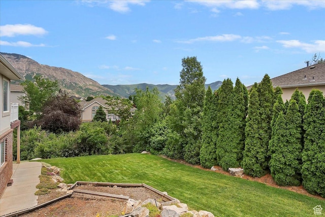 3634 N 225 E, North Ogden, UT 84414 - view of grassy yard with a vegetable garden and a mountain view