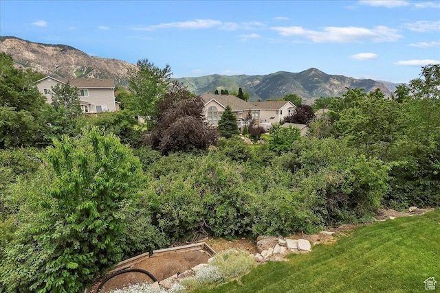 3634 N 225 E, North Ogden, UT 84414 - view of mountain background