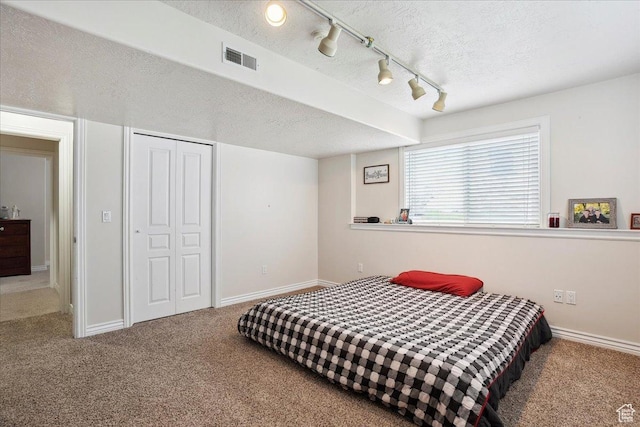 3634 N 225 E, North Ogden, UT 84414 - bedroom with carpet, a textured ceiling, rail lighting, and a closet