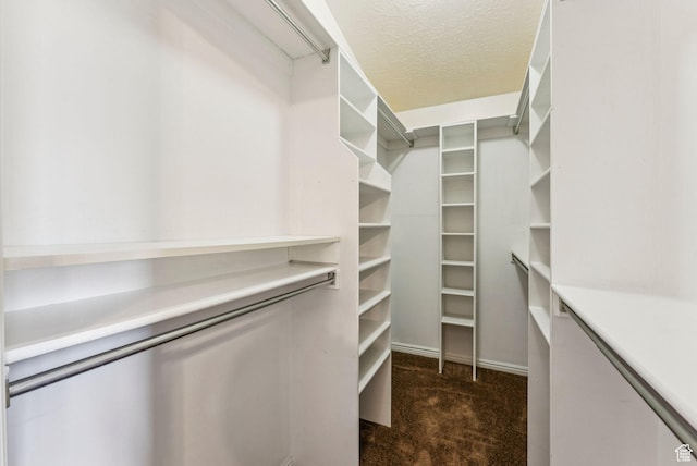 1087 W Barnes Dr, Kaysville, UT 84037 - spacious closet featuring carpet flooring