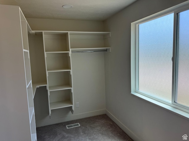 1371 E Skyview Dr, Millcreek, UT 84124 - walk in closet with carpet