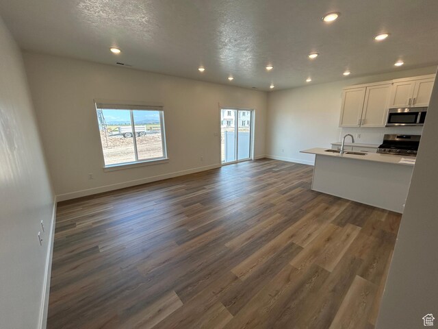 669 W 575 N Unit 552, Smithfield, UT 84335 - kitchen with stainless steel appliances, recessed lighting, open floor plan, white cabinets, and dark wood-style floors