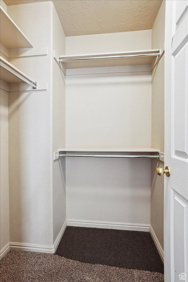 109 E 1875 N, Ogden, UT 84414 - walk in closet featuring carpet flooring