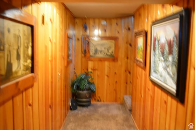 114 W 7th St, Georgetown, ID 83239 - corridor with wood walls, a sauna / steam room, and carpet