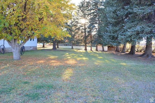 114 W 7th St, Georgetown, ID 83239 - view of grassy yard with a shed