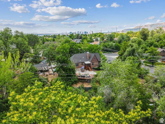1710 E 900 S, Salt Lake City, UT 84108 - aerial view of a tree filled landscape