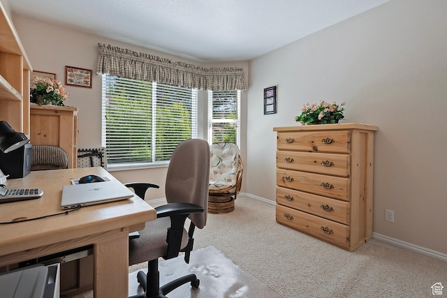 1222 E Big Pine Cir, Sandy, UT 84094 - office area featuring carpet and baseboards