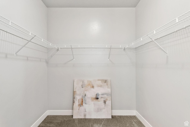 14654 S Bloom Dr W Unit K301, Herriman, UT 84096 - spacious closet with carpet flooring